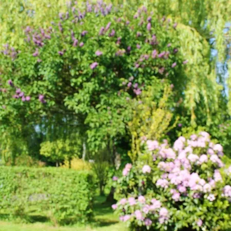 Maison De 2 Chambres A Pierre De Cormeilles Avec Jardin Clos A 28 Km De La Plage Prázdninový dům